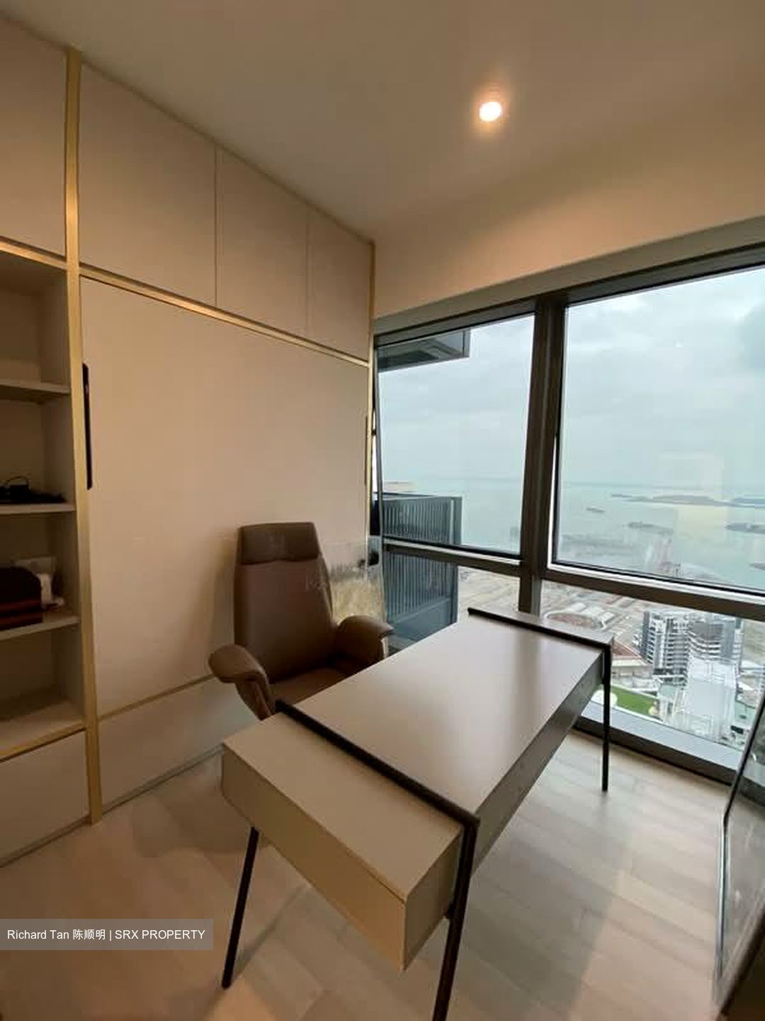 Wallich Street (D2), Condominium #591504201
